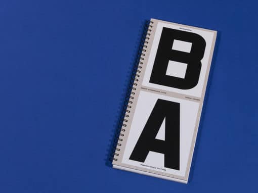 Bachibouzouk- Thomas Couderc, Benoît Bonnemaison-fitte – Image 6