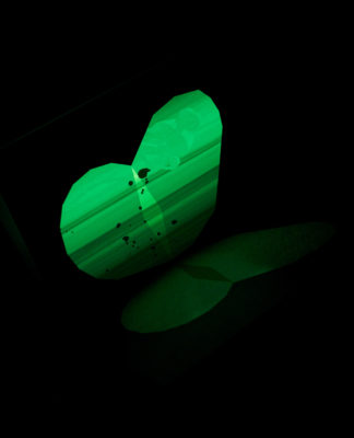 Le Papillon imprimeur - Fanette Mellier – Image 8