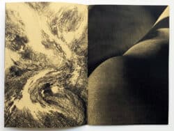 Umami - Ariane Vonmoos – Image 7