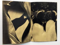 Umami - Ariane Vonmoos – Image 3