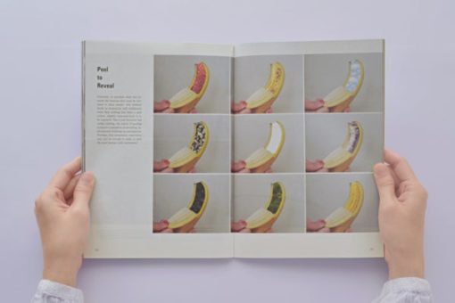 Science of the secondary #11 - Banana – Image 2