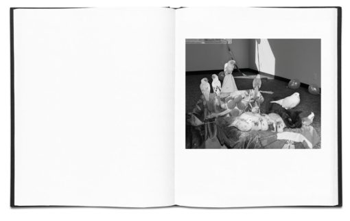 The Community - Eli Durst – Image 7