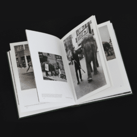 When Elephants Come to Town – A Visual Anthology - James Attlee – Image 7