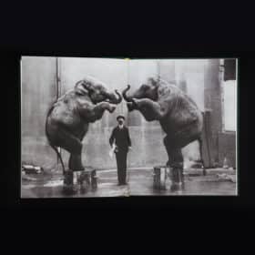 When Elephants Come to Town – A Visual Anthology - James Attlee – Image 4