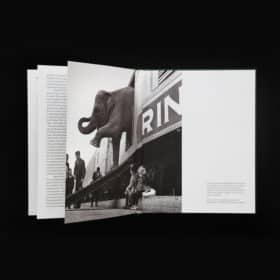 When Elephants Come to Town – A Visual Anthology - James Attlee – Image 3