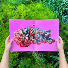 Mushrooms & Friends - Phyllis Ma – Image 5