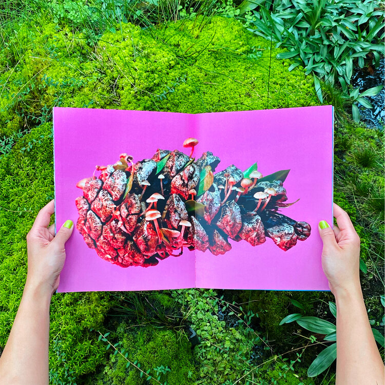 Mushrooms & Friends - Phyllis Ma – Image 5