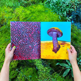 Mushrooms & Friends - Phyllis Ma – Image 7