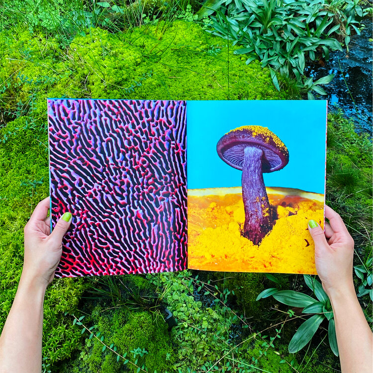 Mushrooms & Friends - Phyllis Ma – Image 7