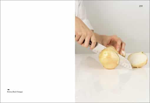 On Onions - Elad Lassry – Image 4
