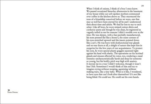 On Onions - Elad Lassry – Image 2