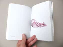 On Onions - Elad Lassry – Image 11