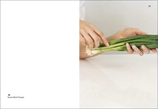 On Onions - Elad Lassry – Image 8