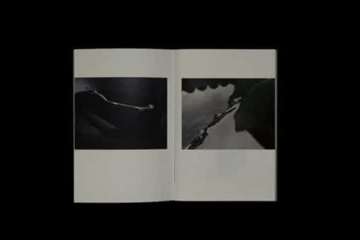 bertrik (vol. 0) – Image 2
