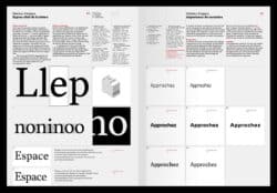 Observer, comprendre et utiliser la typographie - Coll. – Image 15