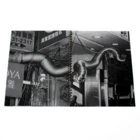 Tubes - Maxime Verret – Image 6