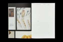 Un design du livre systématique ? - John Morgan & Jost Hochuli – Image 3