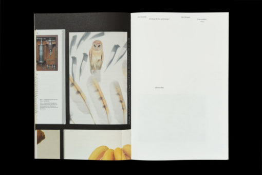 Un design du livre systématique ? - John Morgan & Jost Hochuli – Image 3