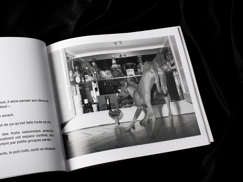 Entrez sans sonnet - Julie Redon – Image 3