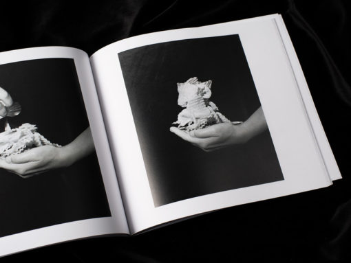 Entrez sans sonnet - Julie Redon – Image 6