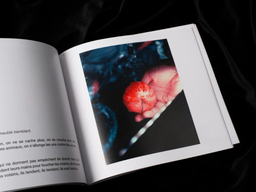 Entrez sans sonnet - Julie Redon – Image 8