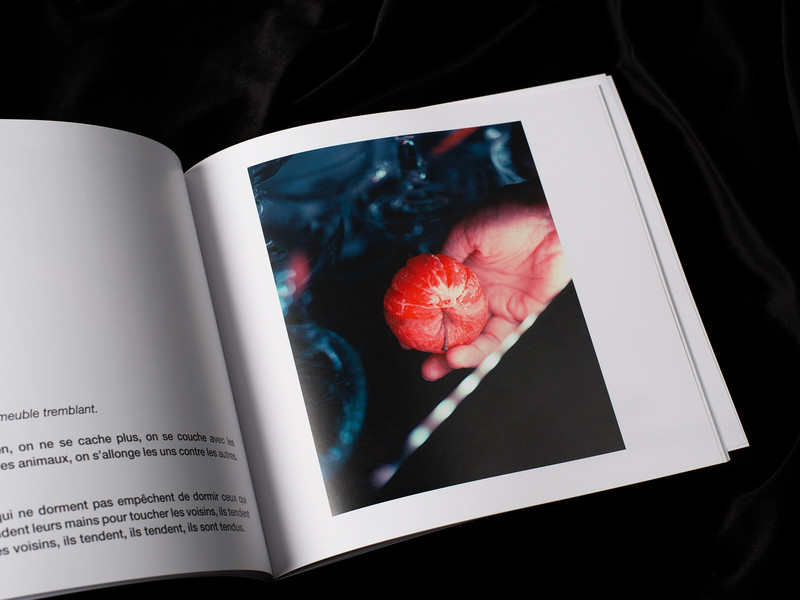 Entrez sans sonnet - Julie Redon – Image 8