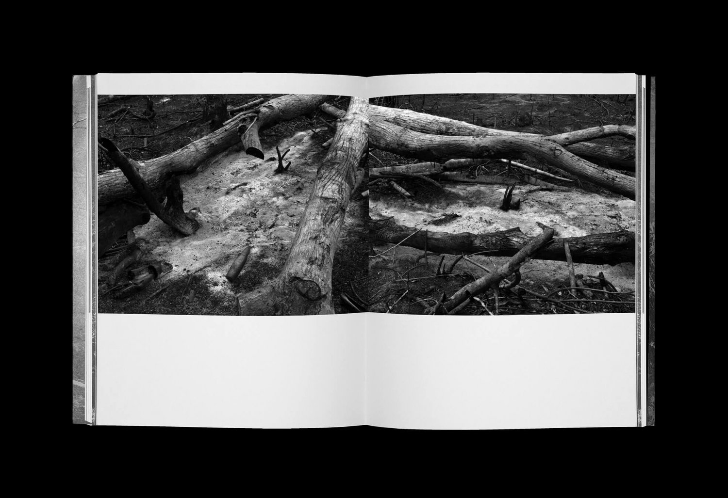 Odds and Ends - Marie Quéau – Image 9