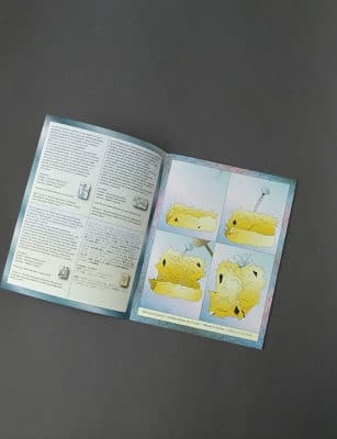 L'oasis - Sammy Stein – Image 3