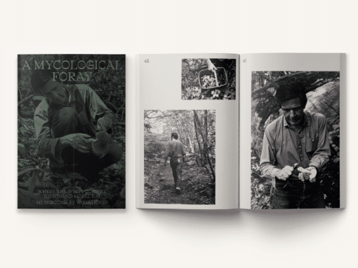 John Cage: A Mycological Foray – Image 3