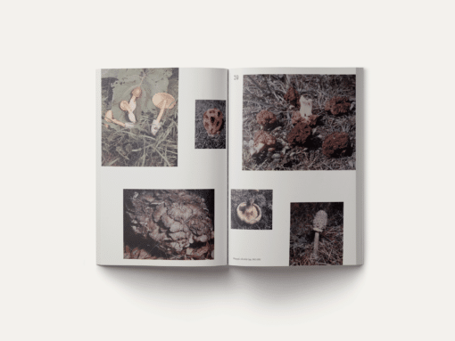 John Cage: A Mycological Foray – Image 6