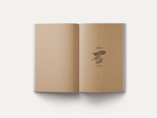 John Cage: A Mycological Foray – Image 11