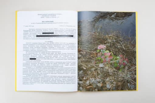 Flower Smuggler - Diana Tamane – Image 12