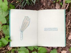 libres pensées d’une plante sauvage sur le monde - Rita Alaoui – Image 3