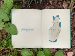 libres pensées d’une plante sauvage sur le monde - Rita Alaoui – Image 4