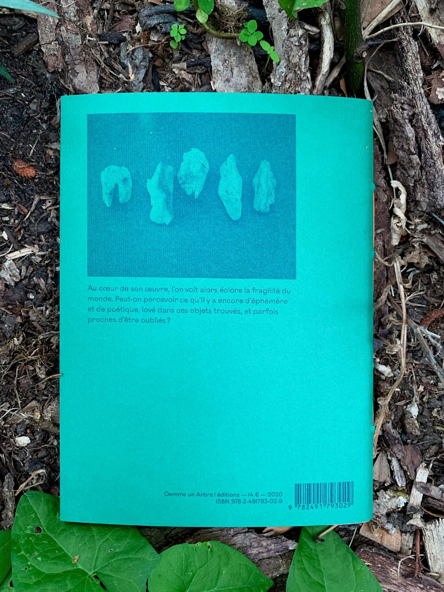libres pensées d’une plante sauvage sur le monde - Rita Alaoui – Image 2