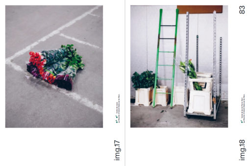 Offrir des fleurs – Image 13