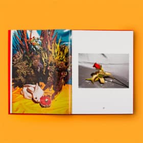 Special Nothing Book - Phyllis Ma – Image 4