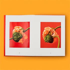 Special Nothing Book - Phyllis Ma – Image 7