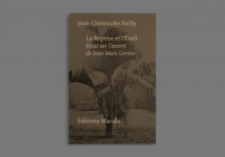 La Reprise et l’Éveil - Jean-Christophe Bailly