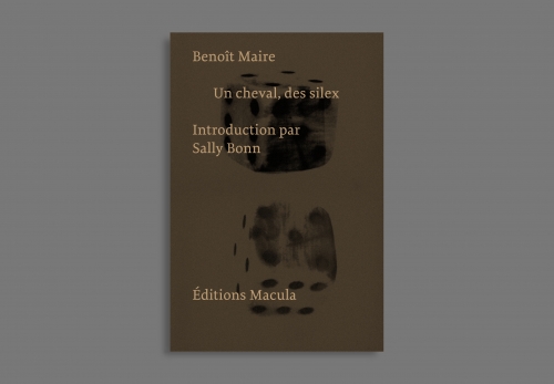 Un cheval, des silex - Benoît Maire, Sally Bonn