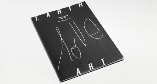 UPO 1 - Earth Art - Rejane Dal Bello – Image 3