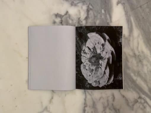 Seen - Thibaut Kinder – Image 7