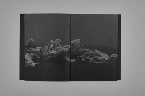 Landslag - Bastien Santanoceto – Image 3