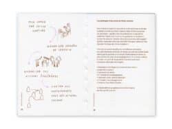 Cantines de quartier – La recette du lien -  Claire Gausse – Image 5