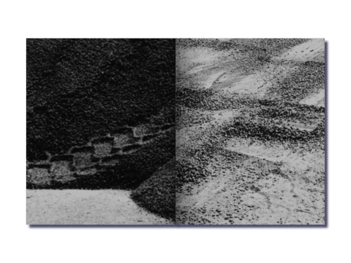 Grains. - Bérénice Béguerie – Image 6