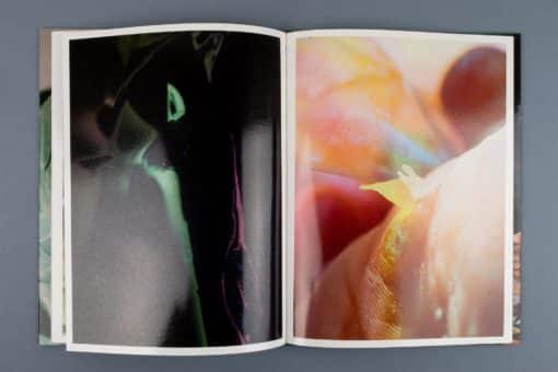 Mise en Pièces - Lucile Boiron – Image 7