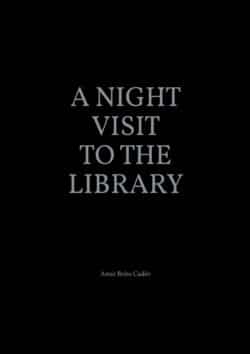 A night visit to the library - Amir Brito Cadôr