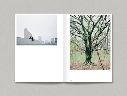 Japon -  Yann Audic – Image 12
