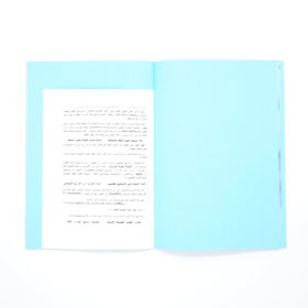 La Forme de l'information - Farah Khelil & antoine lefebvre editions – Image 3