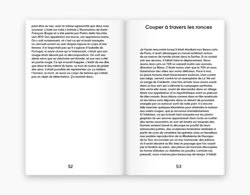 Couper à travers les ronces - Camille Paulhan – Image 2